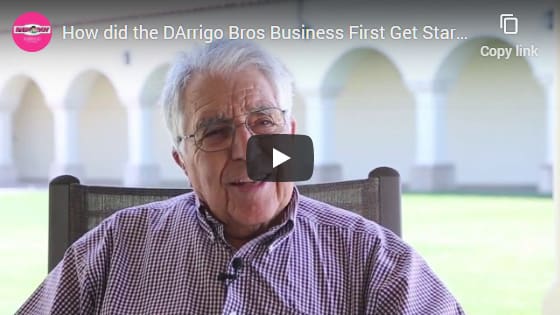 How did the D'Arrigo Bros. Business First Get Started?