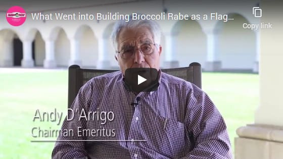 WhatWentIntoBuildingBroccoliRabeAs