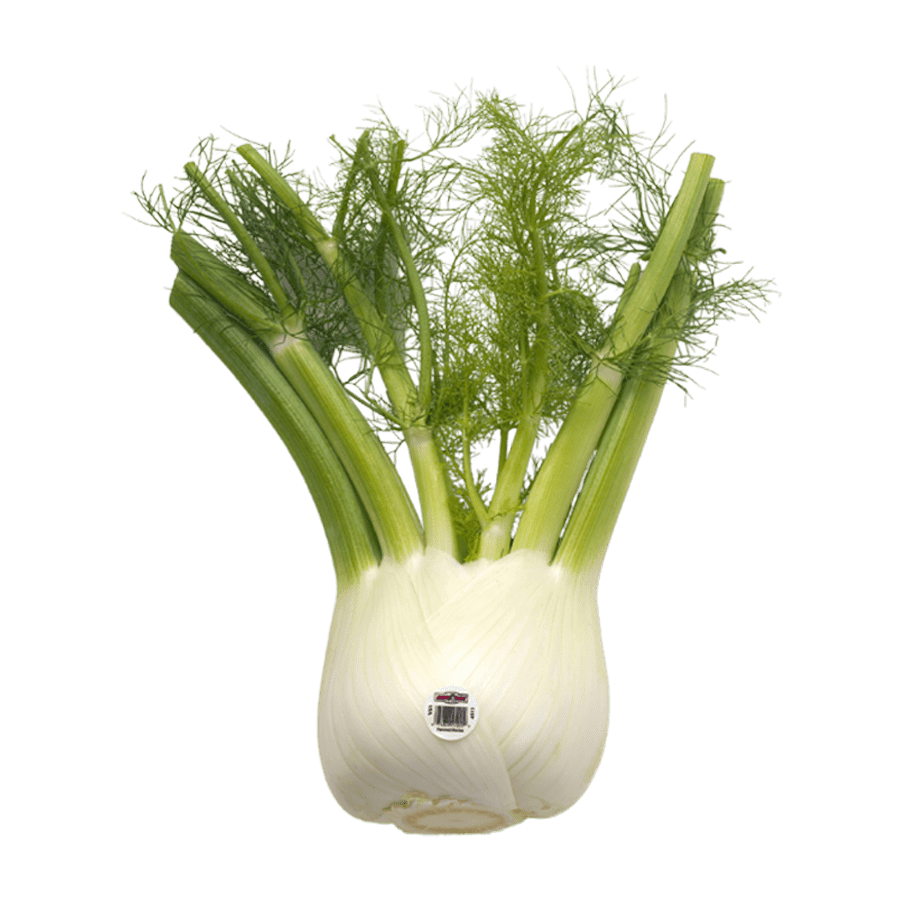 Fennel