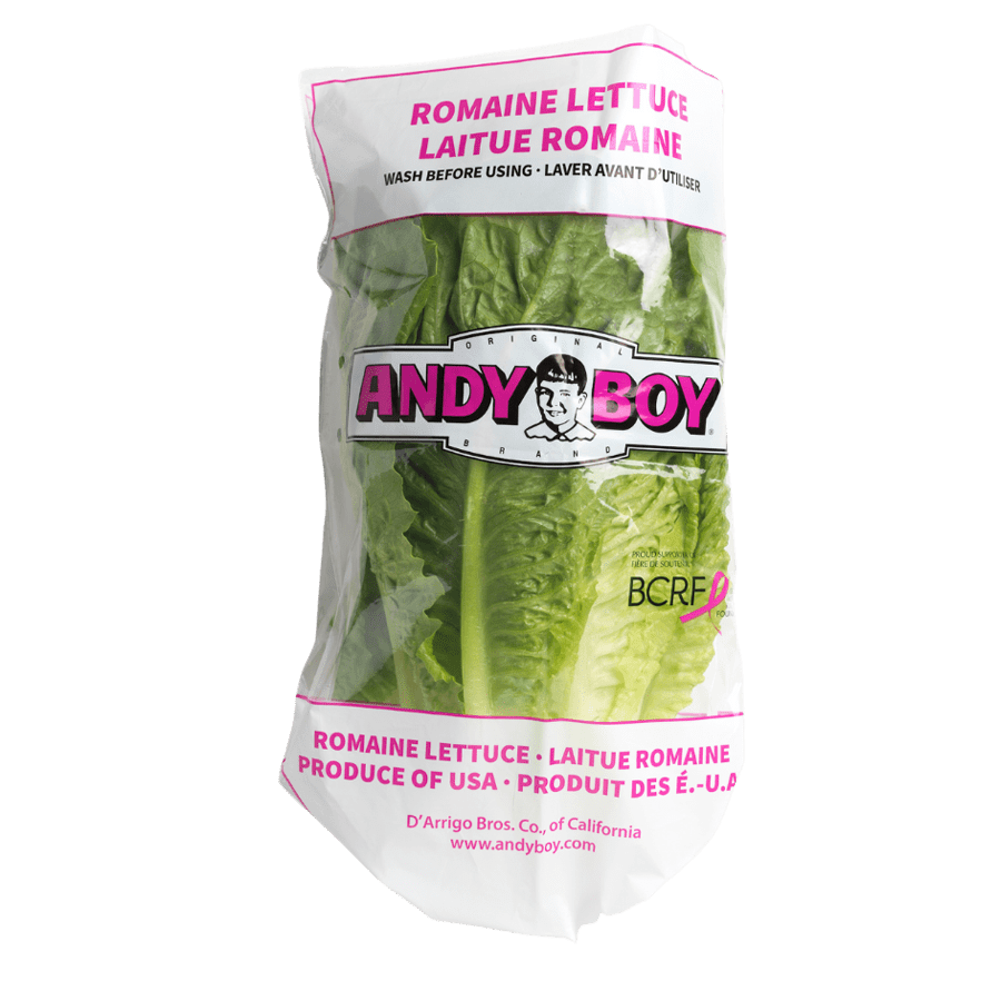 Romaine Lettuce